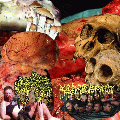 Charcuterie : Charcuterie - Australopithecus Charcuterie : Charcuterie - Australopithecus